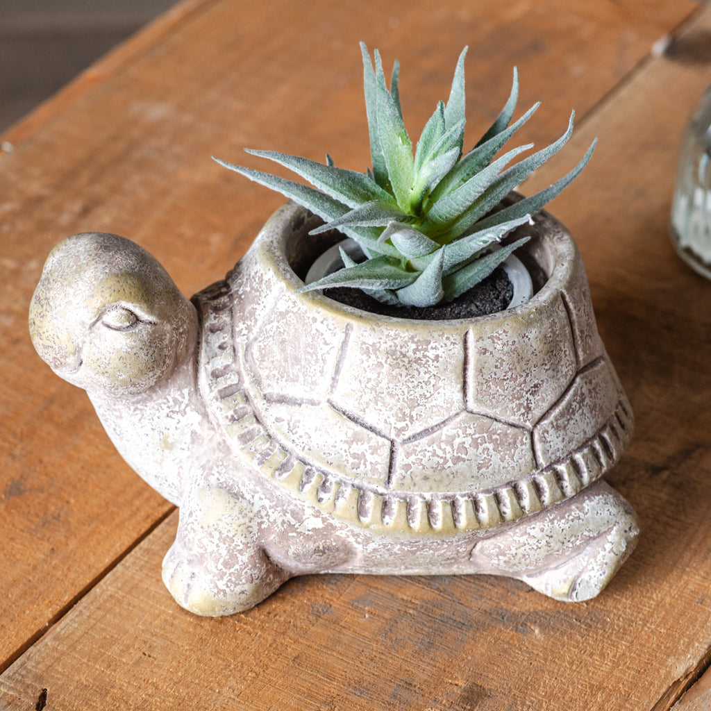 Frankie The Turtle Pot