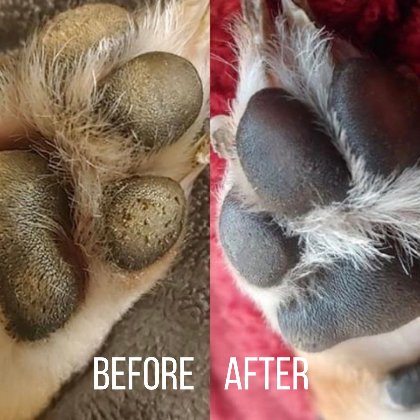 Fast-Healing Paw Balm