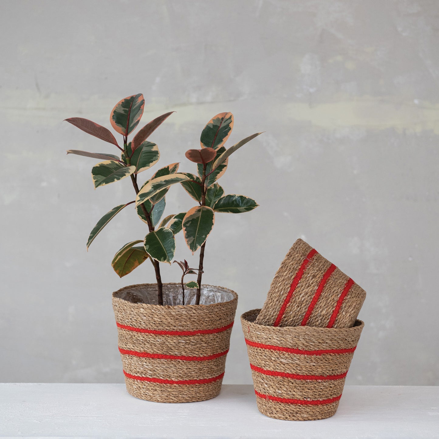 Striped Seagrass & Jute Baskets