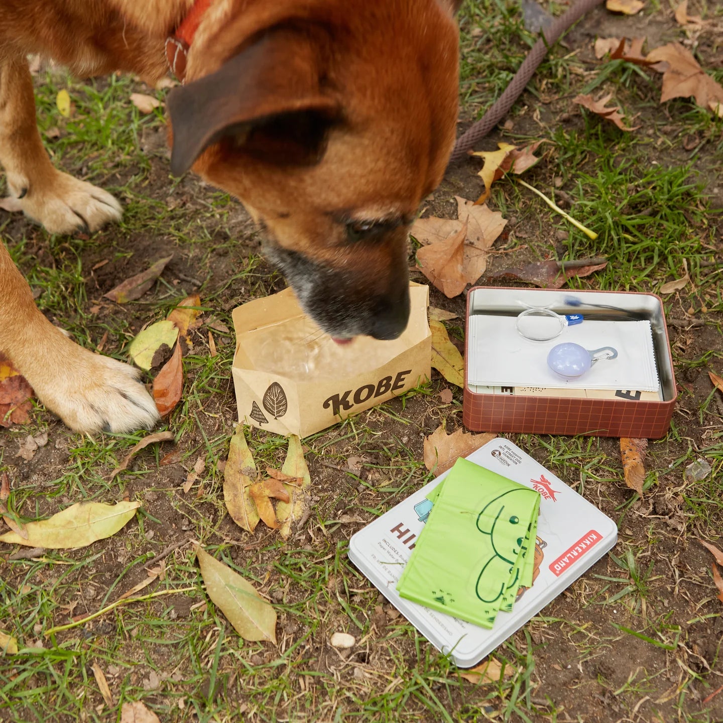 Dog Hiking Kit