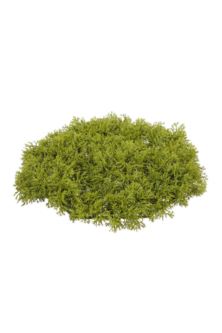 Bright Real Touch Moss Mat