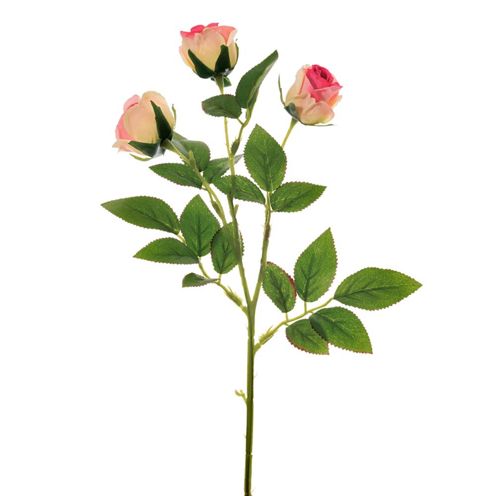 Leafy Rose Stem