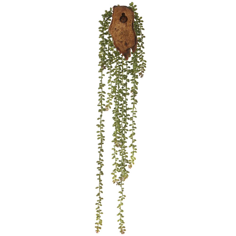 Donkey Tail Hanging Wall Decor
