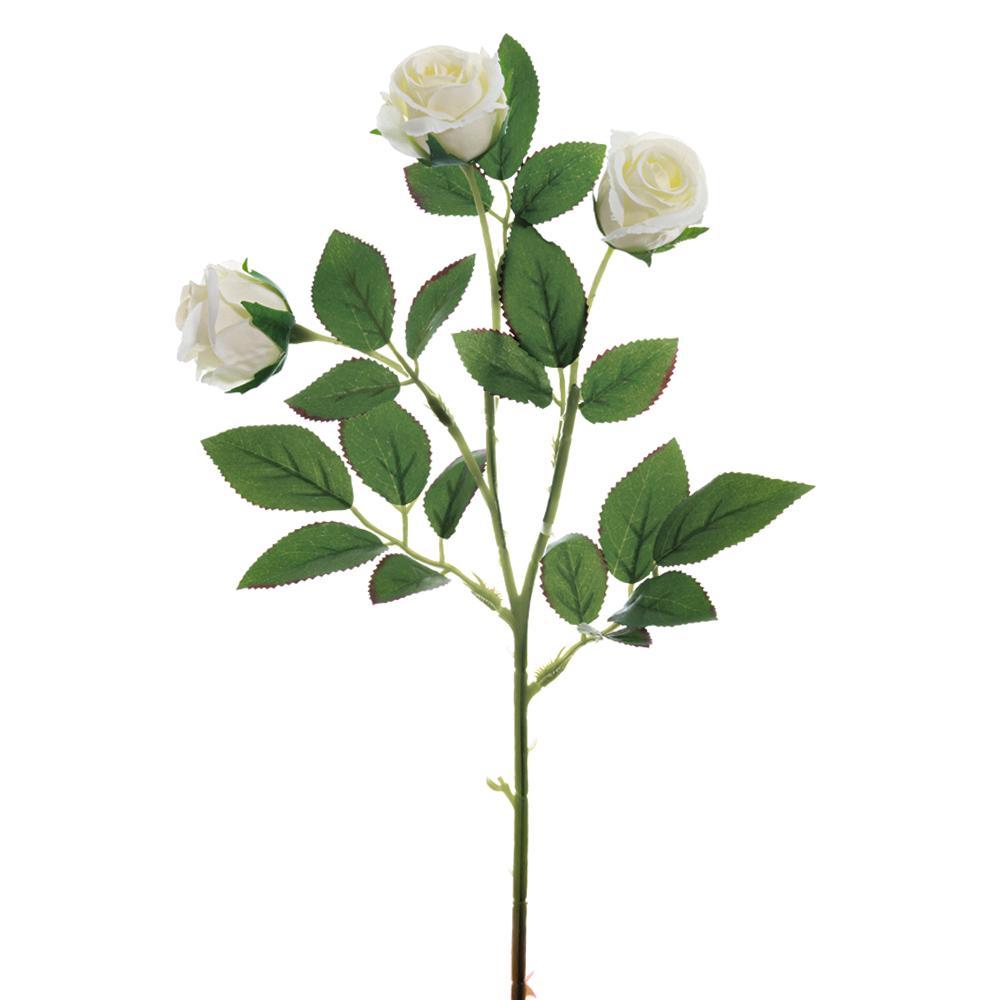 Leafy Rose Stem