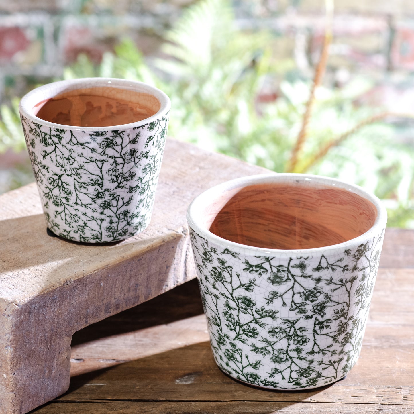 Primrose Plant Pots