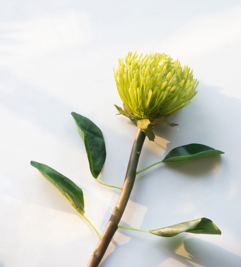 Artificial Greenery