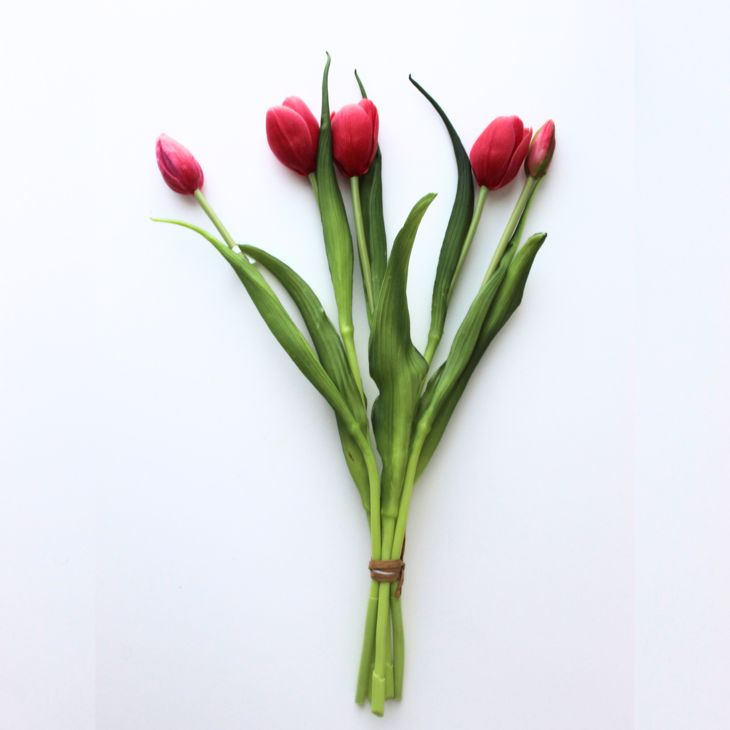 16" Real Touch Dynasty Tulip Bundle