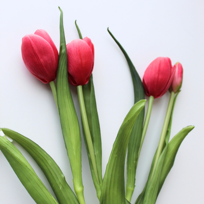 16" Real Touch Dynasty Tulip Bundle