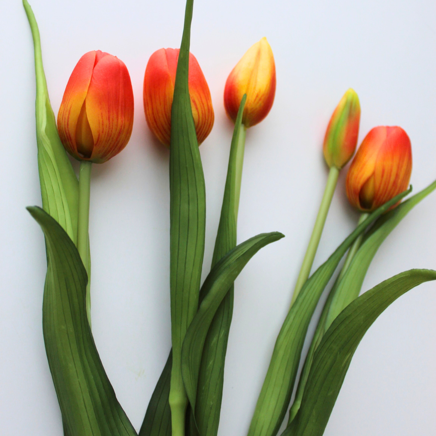 16" Real Touch Dynasty Tulip Bundle