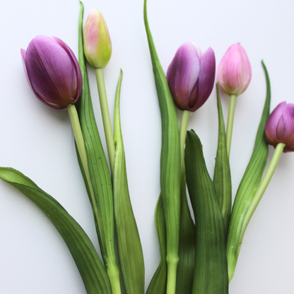 16" Real Touch Dynasty Tulip Bundle