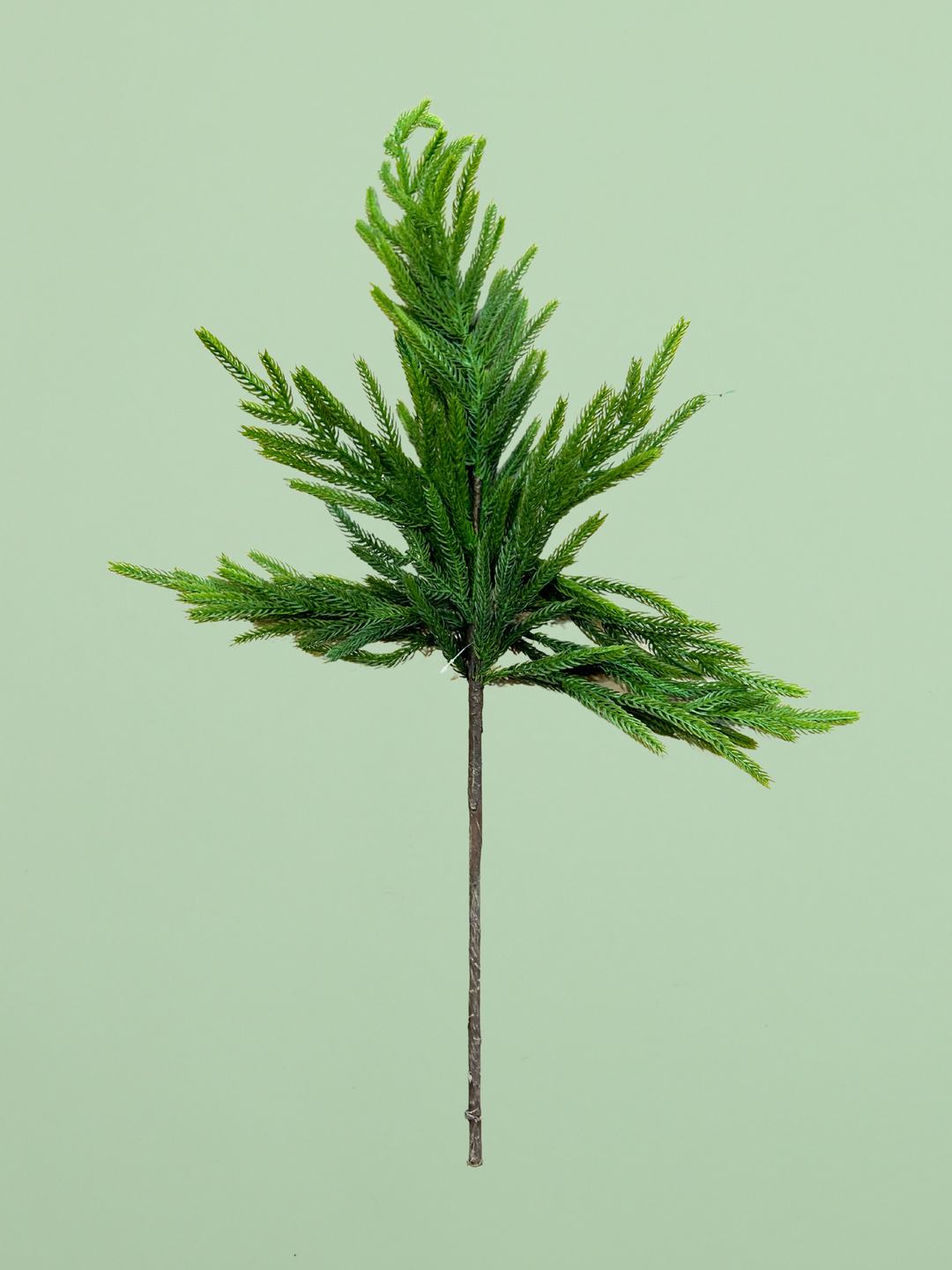 29" Real Touch Norfolk Pine Branch