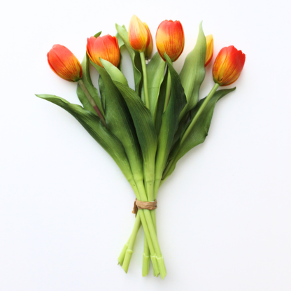 12" Real Touch Dynasty Tulip Bundle