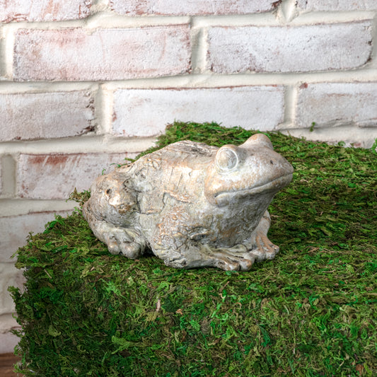 Gold Wash Garden Frog