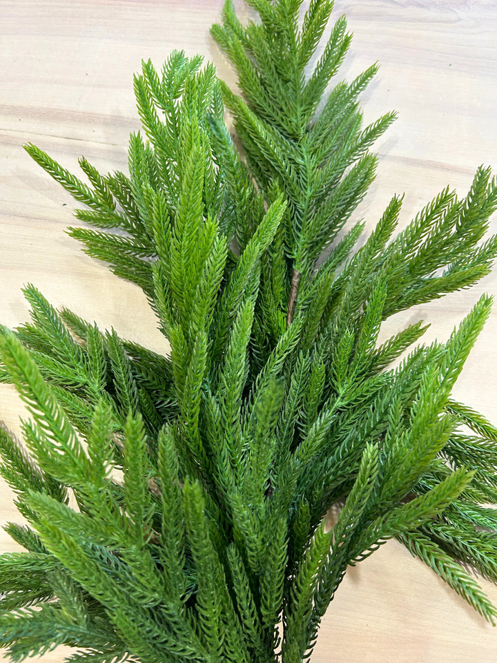 29" Real Touch Norfolk Pine Branch