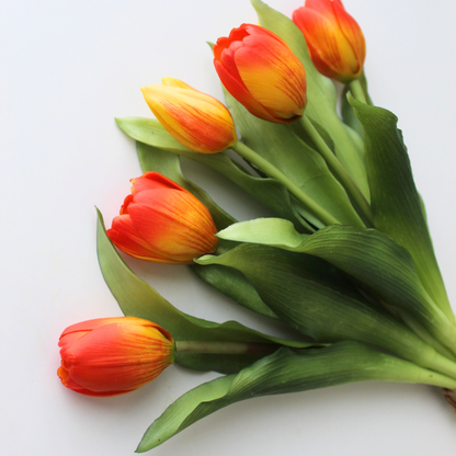 12" Real Touch Dynasty Tulip Bundle