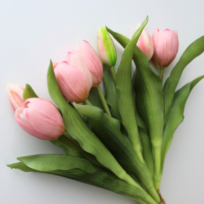 12" Real Touch Dynasty Tulip Bundle