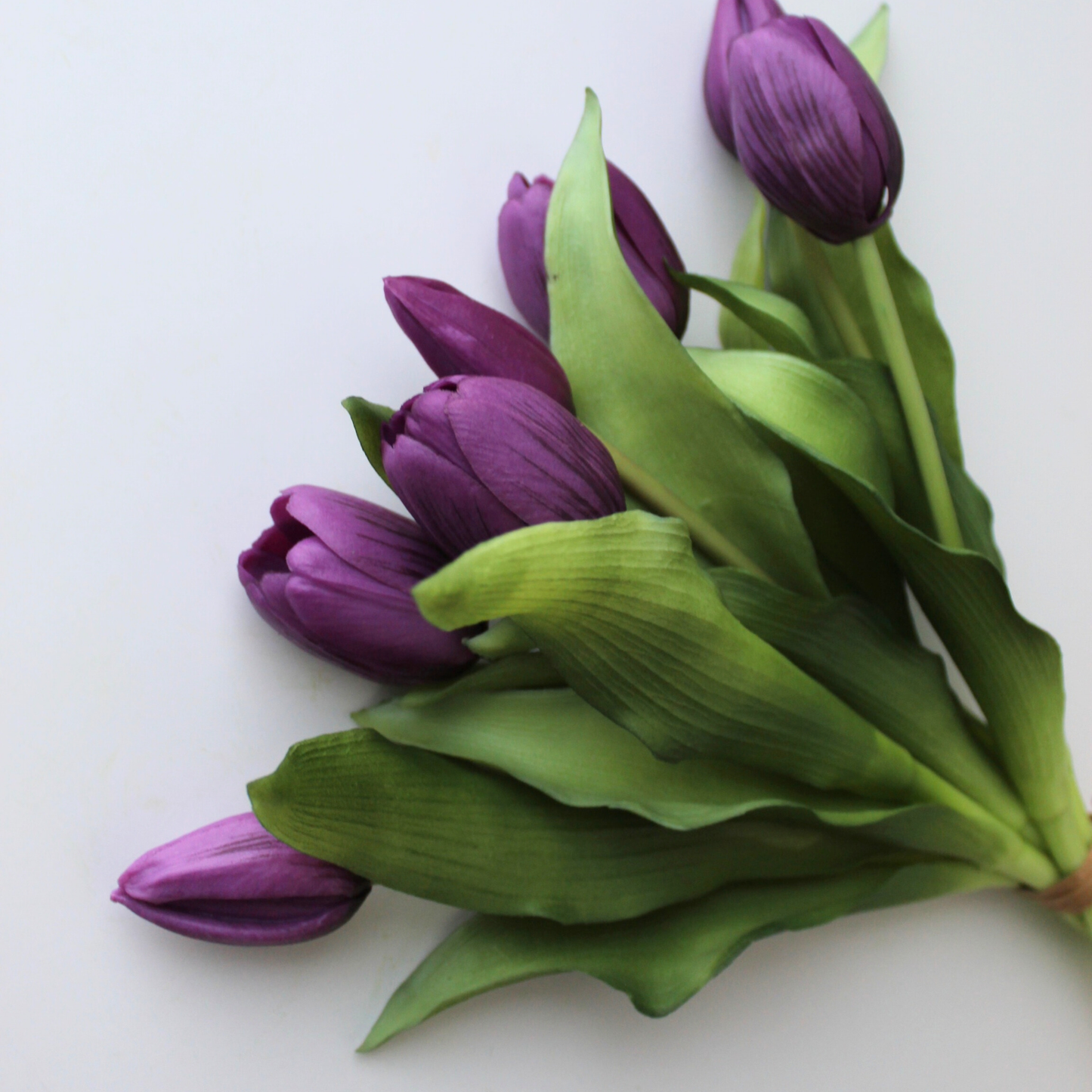 12" Real Touch Dynasty Tulip Bundle