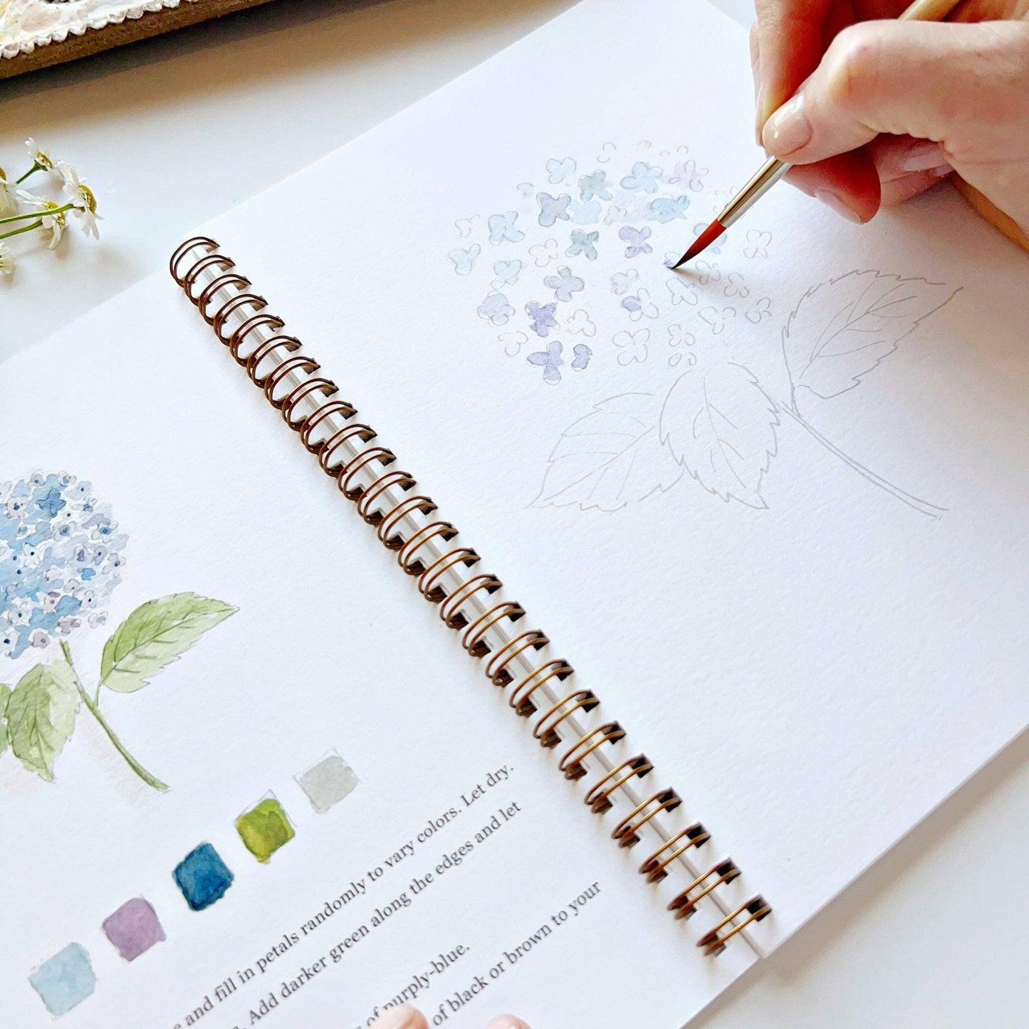 Flowers - Watercolour Workbook