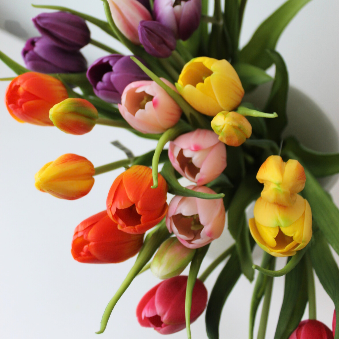 16" Real Touch Dynasty Tulip Bundle