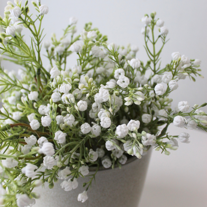 14" Baby's Breath Bundle