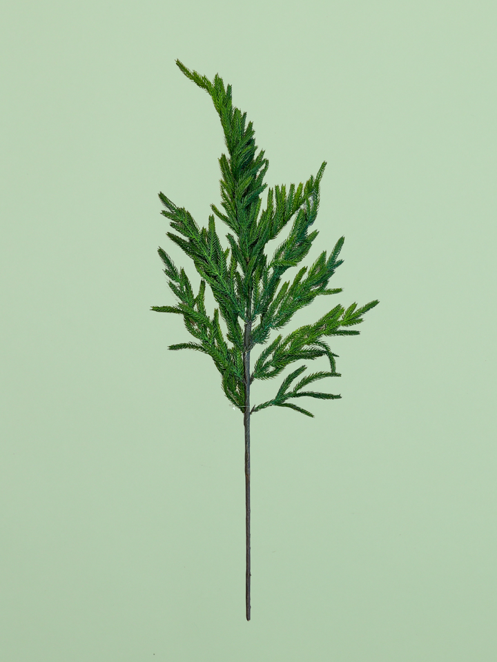 36" Real Touch Norfolk Pine Branch