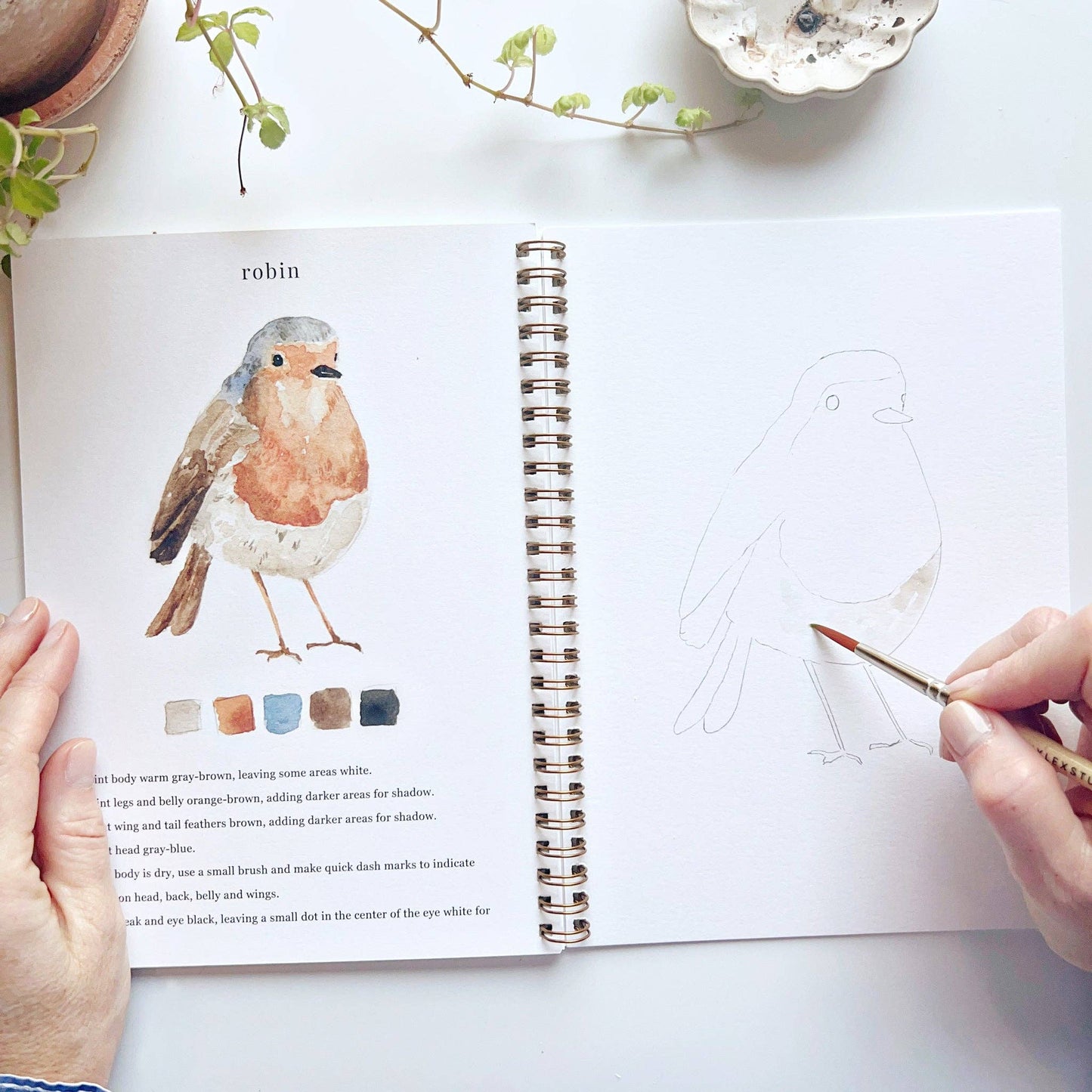 Birds - Watercolour Workbook