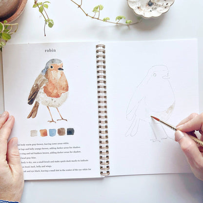 Birds - Watercolour Workbook