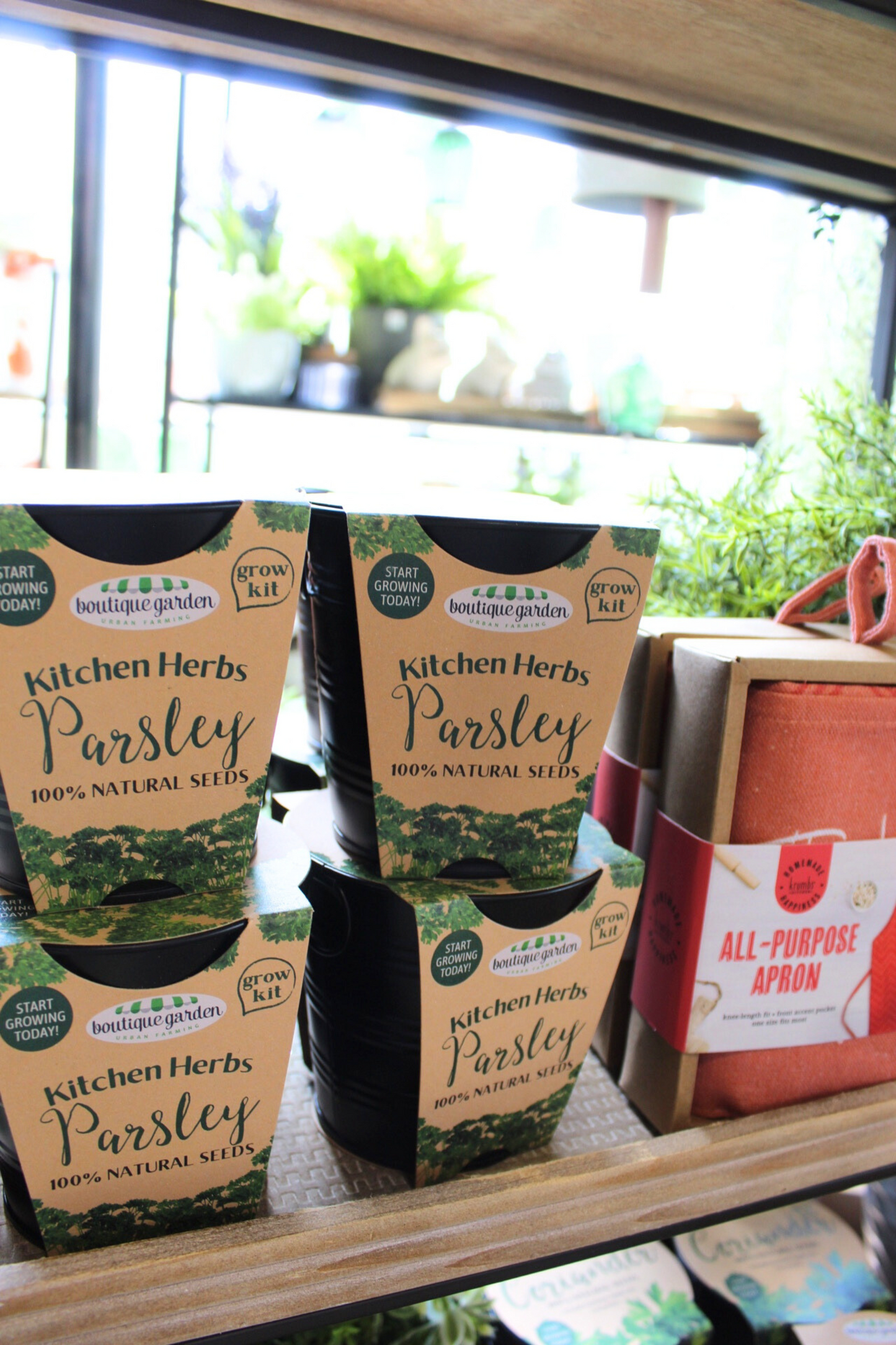 Kitchen Herbs Kit