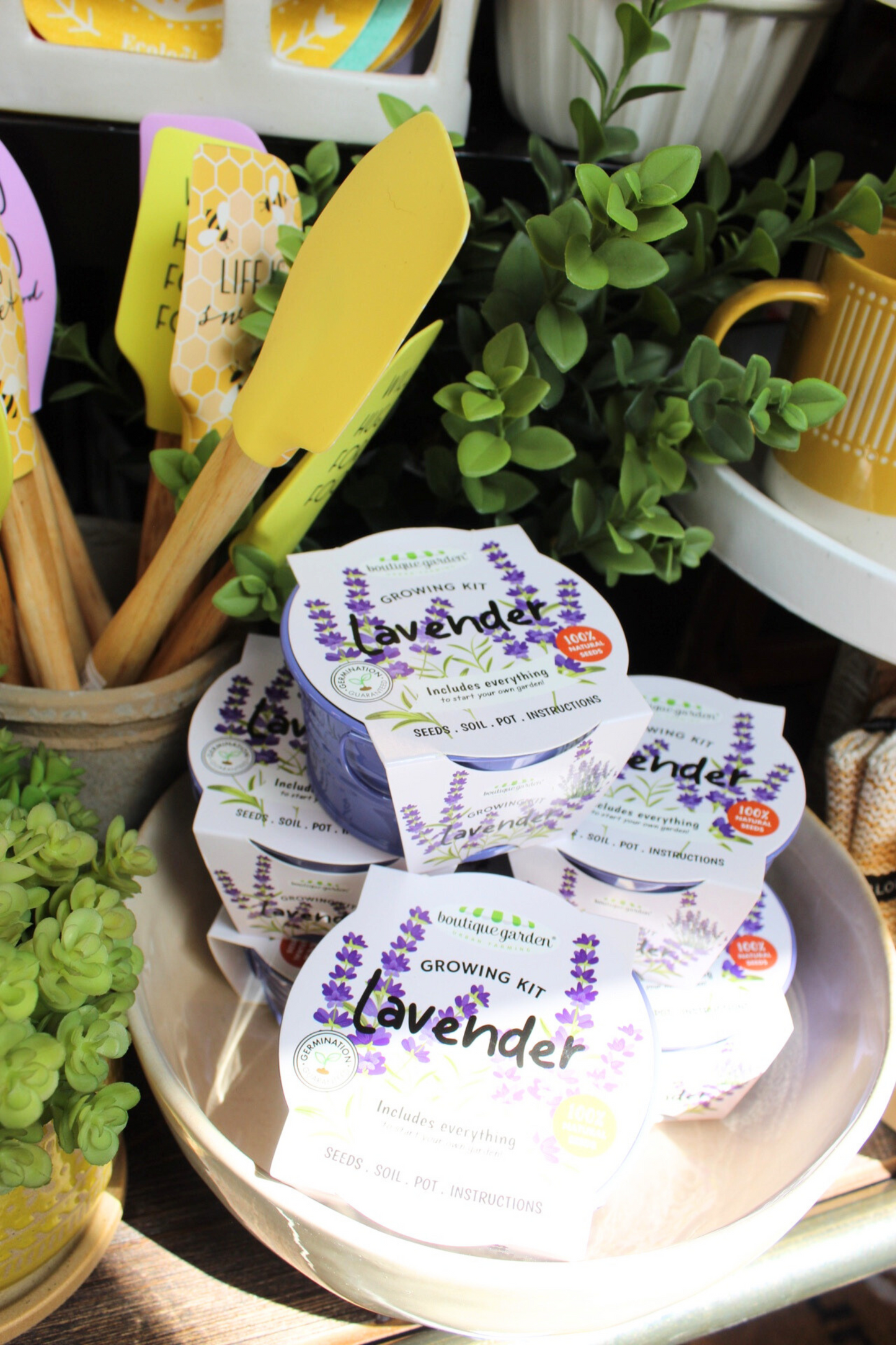 Lavender Growing Kit