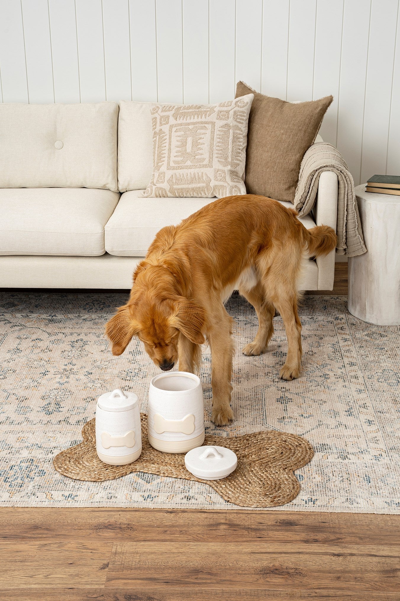 Dog Treat Cookie Jar