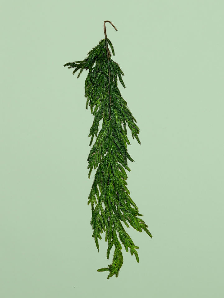 41" Real Touch Norfolk Pine Garland
