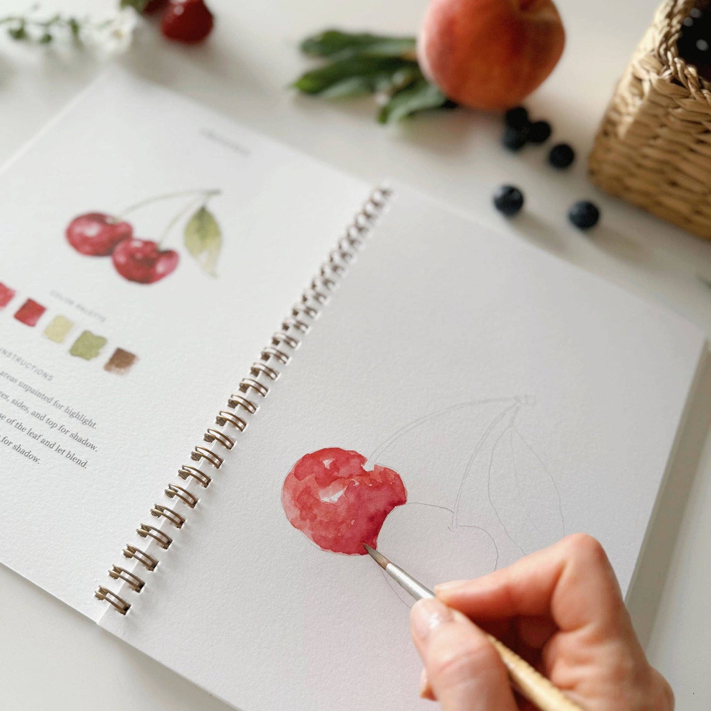 Fruit - Watercolour Workbook