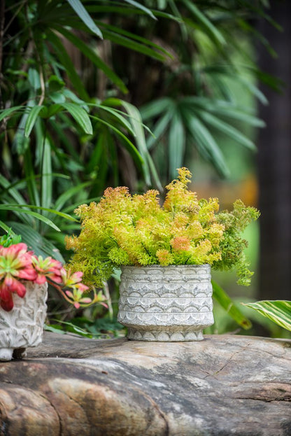 Everette Round Terracotta Planters