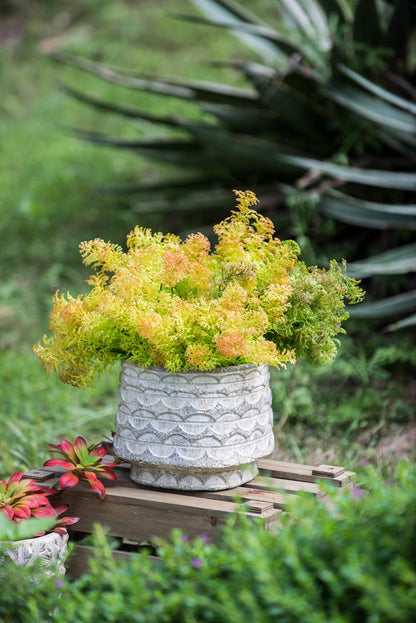 Everette Round Terracotta Planters