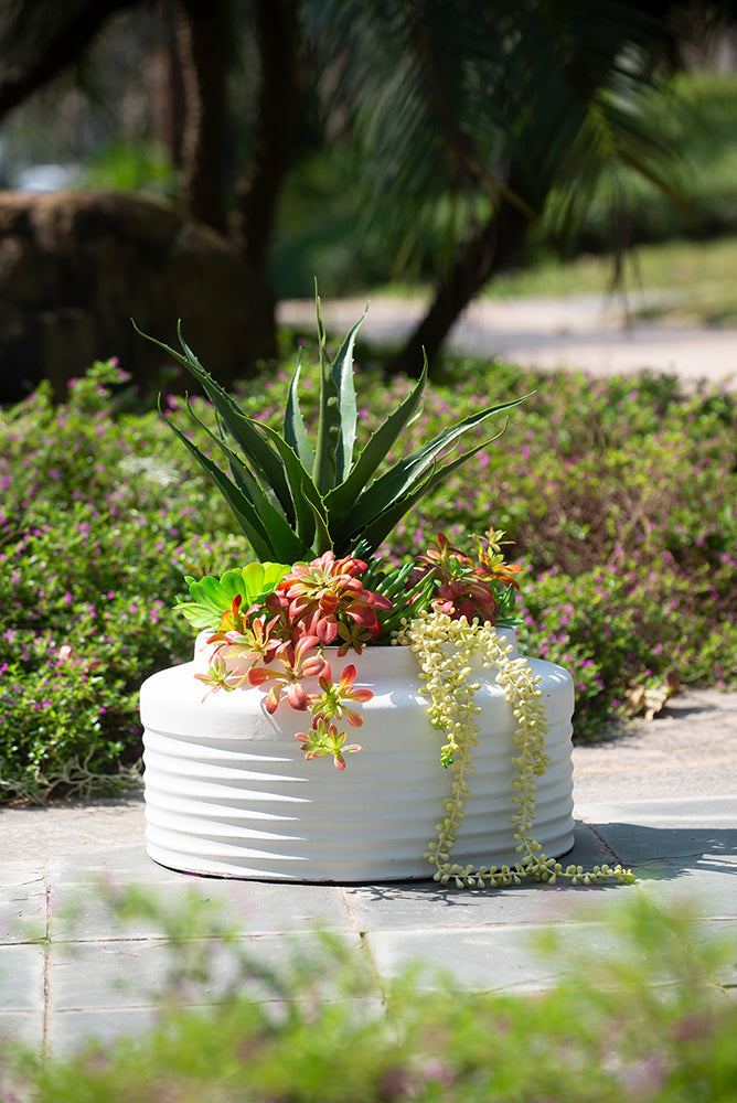 White Ridged Cement Planters