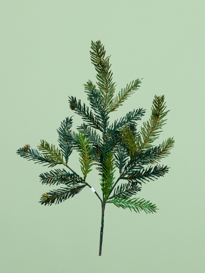20" Cypress Spray