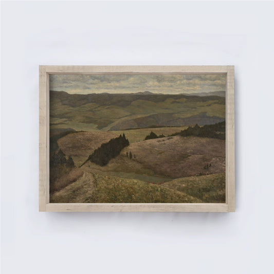 Vintage Landscape Framed Print