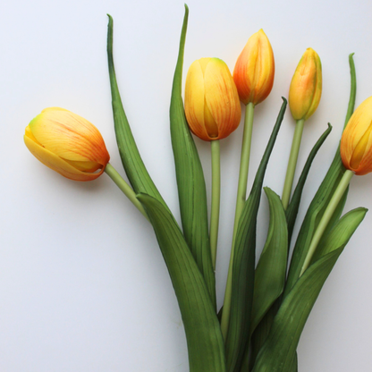16" Real Touch Dynasty Tulip Bundle