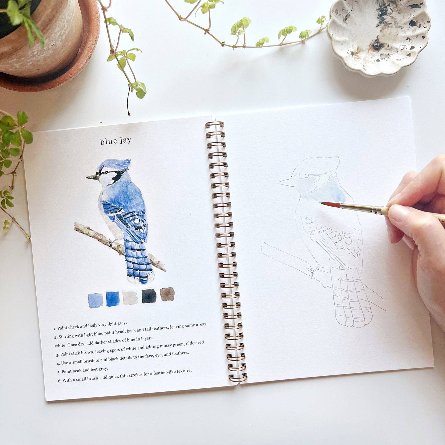 Birds - Watercolour Workbook