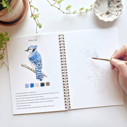 Birds - Watercolour Workbook