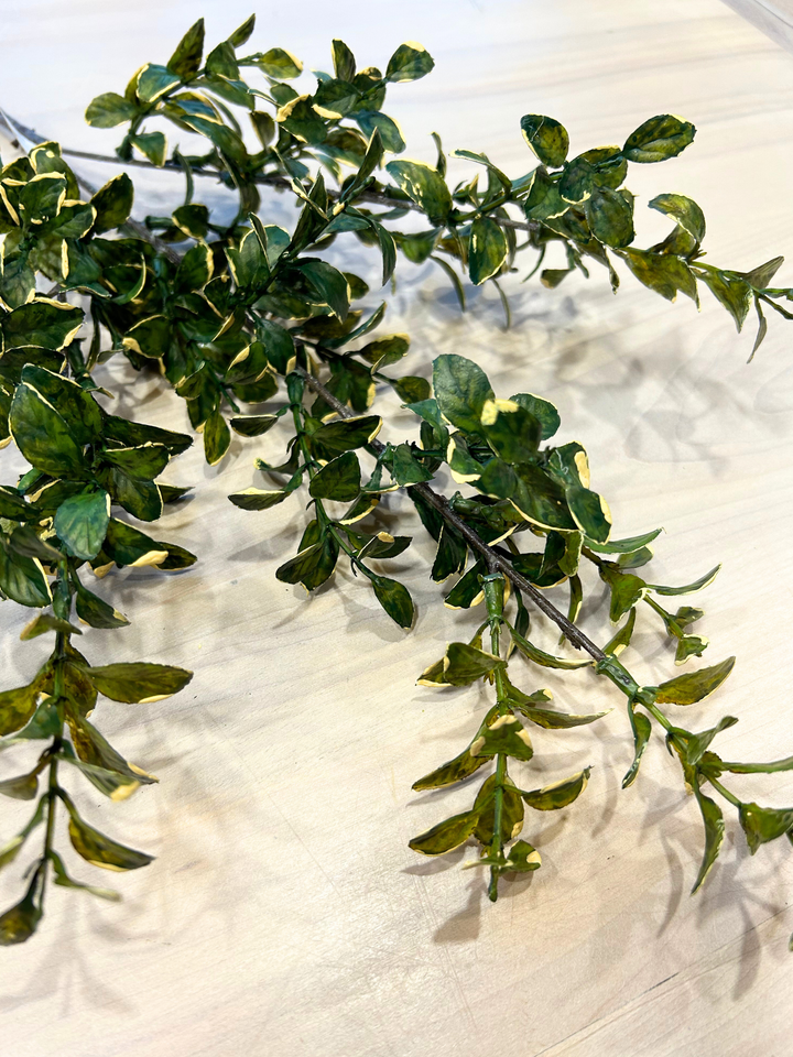 26" Golden Euonymus Spray