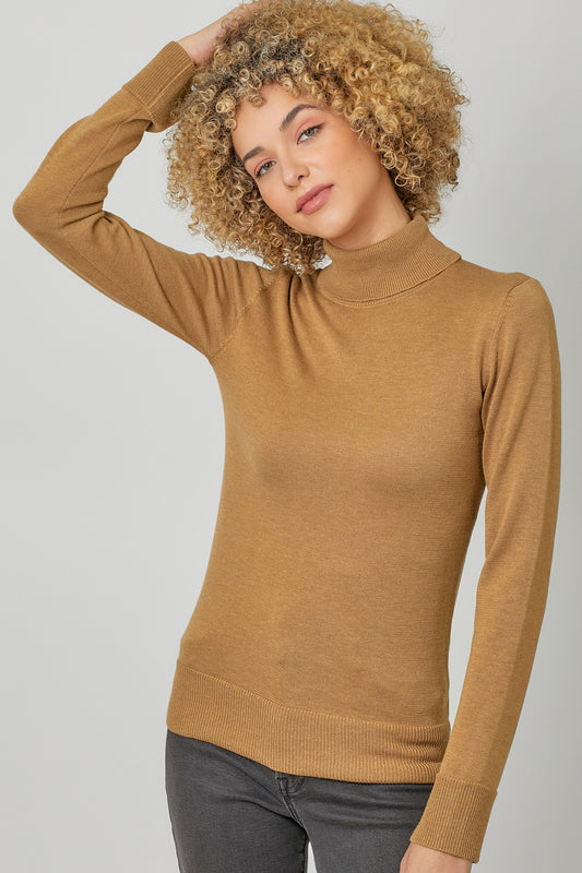 Calli Turtle Neck Sweater