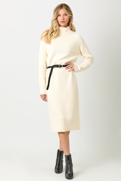 Carla Turtleneck Sweater Dress