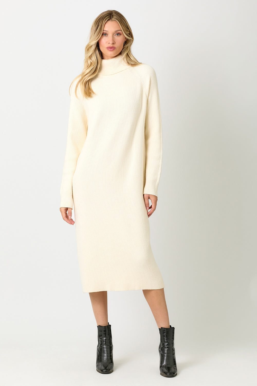 Carla Turtleneck Sweater Dress