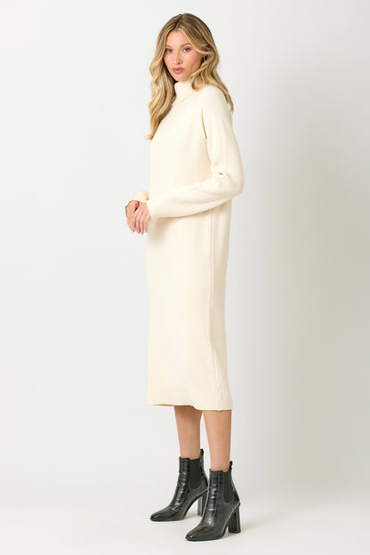 Carla Turtleneck Sweater Dress