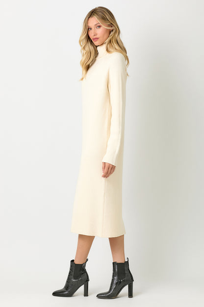 Carla Turtleneck Sweater Dress