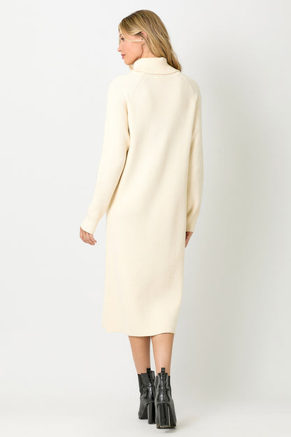 Carla Turtleneck Sweater Dress