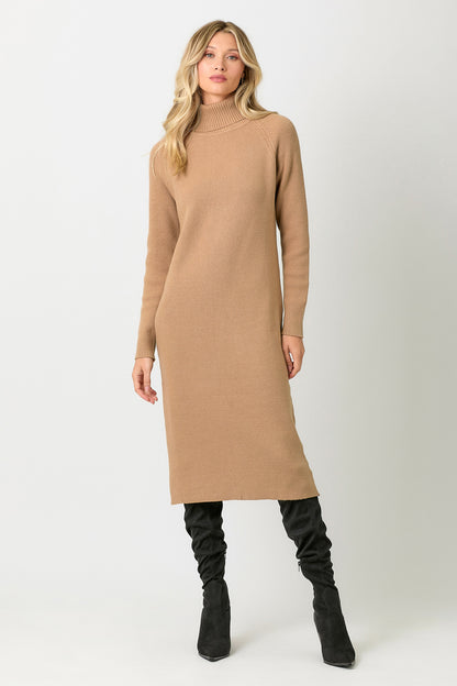 Carla Turtleneck Sweater Dress