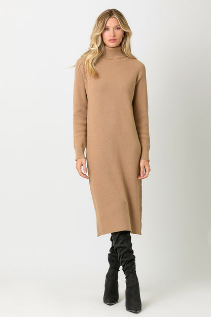 Carla Turtleneck Sweater Dress