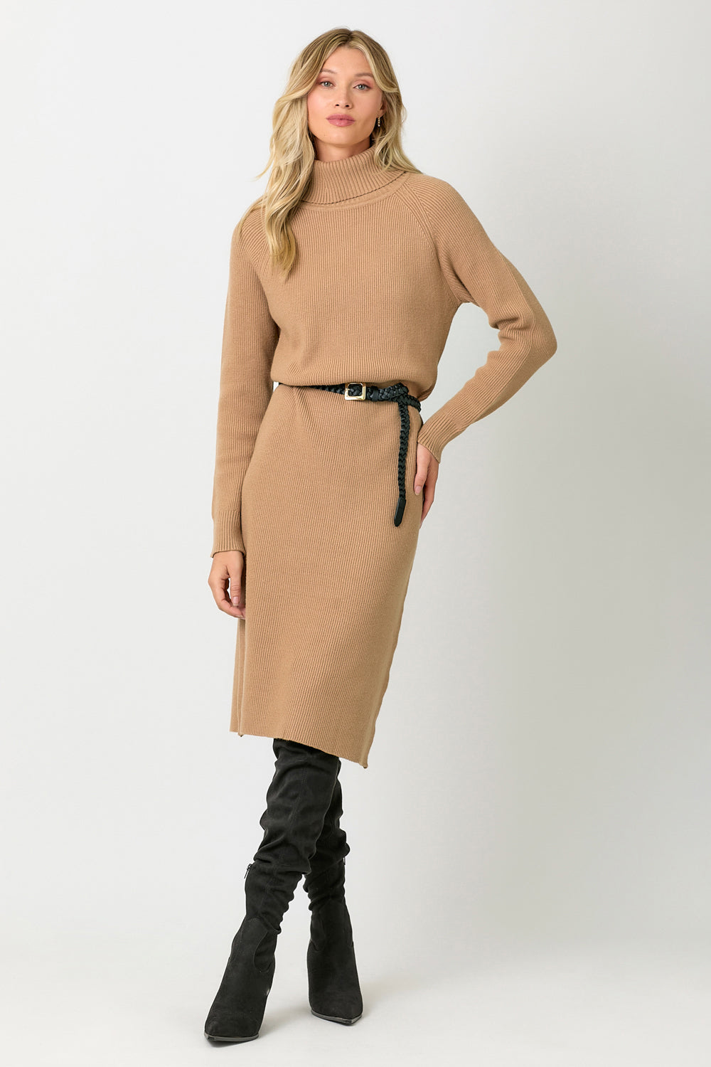 Carla Turtleneck Sweater Dress